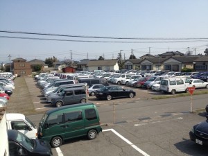 New Stock Yard!