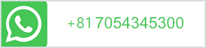 +819072259491