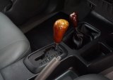 Every Cars