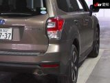 Every Cars