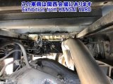 Every Cars