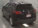 Every Cars