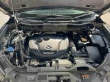 Every Cars