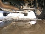 Every Cars