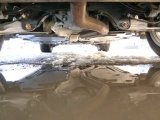 Every Cars