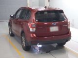 Every Cars