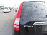 Every Cars