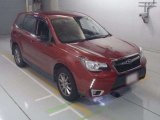Every Cars