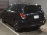 Every Cars
