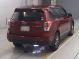 Every Cars