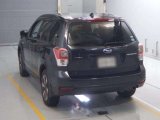 Every Cars