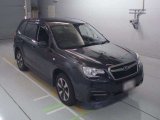 Every Cars