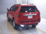 Every Cars