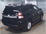 Every Cars