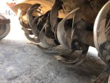 Every Cars