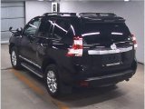 Every Cars