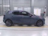 Every Cars