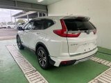 Every Cars