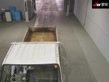 Every Cars