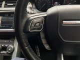 Every Cars