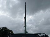 Every Cars