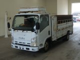 ISUZU 