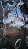 ENGINE HINO W04D with gearbox