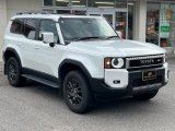 TOYOTA LAND CRUISER 250 VX